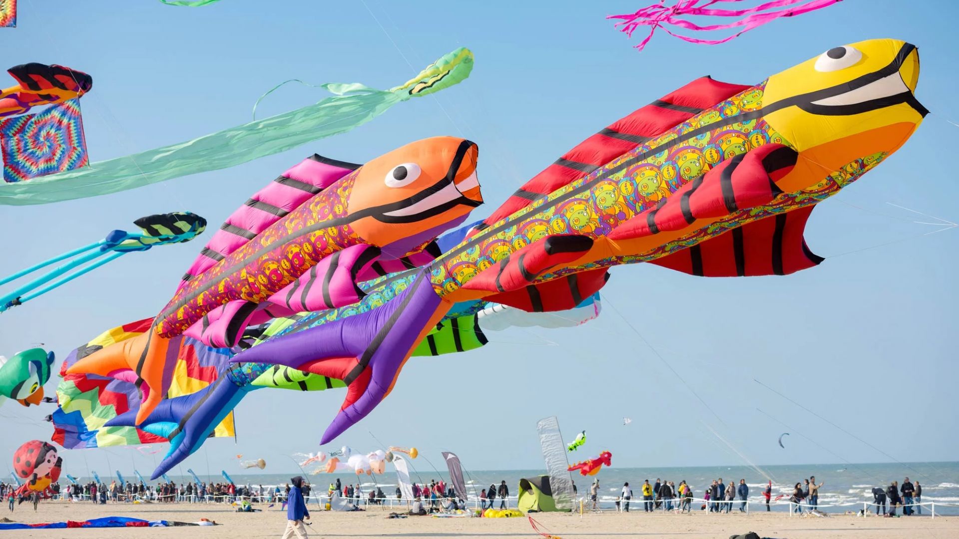 Ponte 25 Aprile - I° Maggio FRONTE MARE